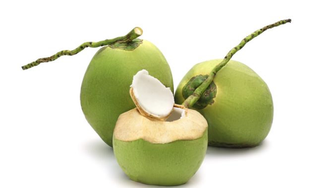 mewarnai gambar buah kelapa